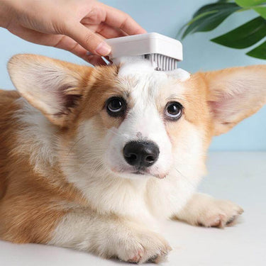 professional dog grooming brushes